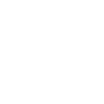 NORSETAG